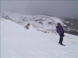 000112 quandaryIMG_2769.jpg